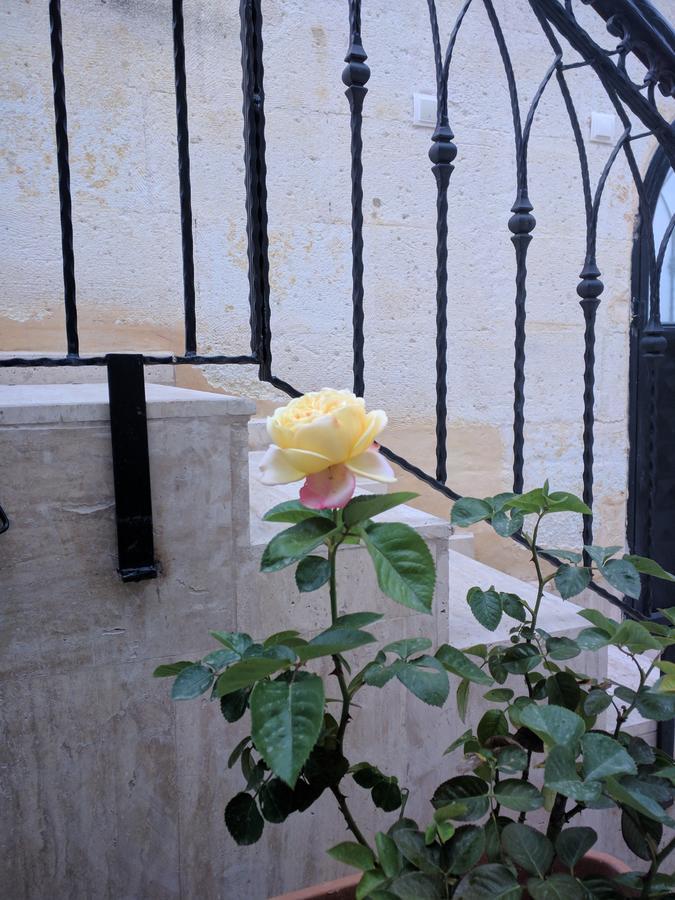 Sendian-Guesthouse (Adults Only) Avanos Εξωτερικό φωτογραφία